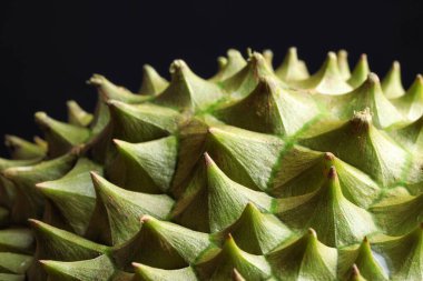 Siyah arkaplanda olgun durian 'ın yakın görüntüsü