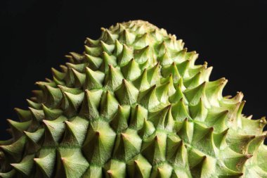 Siyah arkaplanda olgun durian 'ın yakın görüntüsü