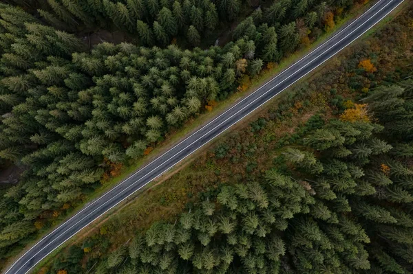 Güzel ormanın ve yolun sonbahar günündeki hava manzarası