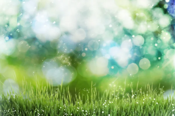 Güneşli Bir Günde Çayırda Taze Yeşil Çimen Bokeh Etkisi — Stok fotoğraf