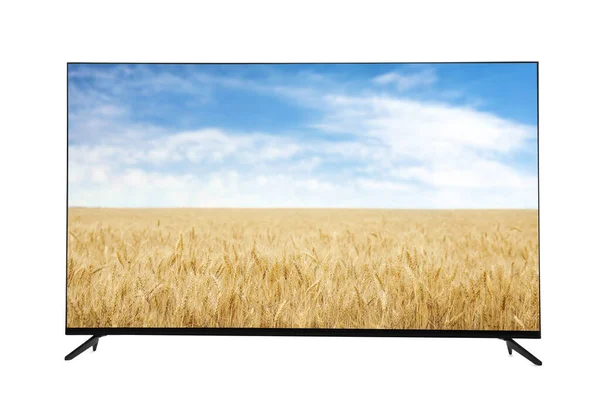 Modern Wide Screen Monitor Showing Picturesque View Wheat Field Blue — стоковое фото