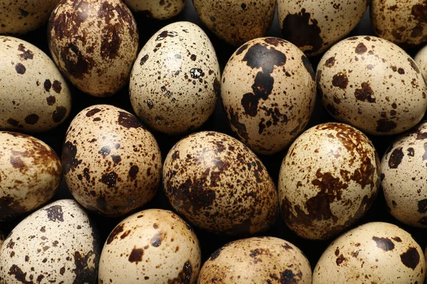 Many Fresh Quail Eggs Background Closeup — Foto de Stock