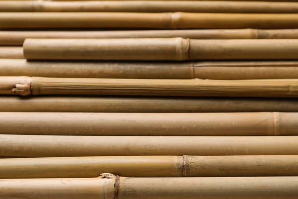 Dry Bamboo Sticks Background Closeup View — Photo