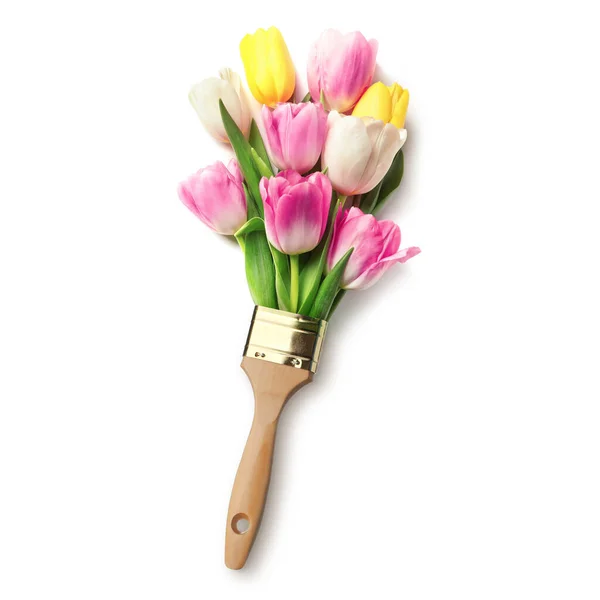 Creative Design Paint Brush Beautiful Tulips White Background Top View — Fotografia de Stock