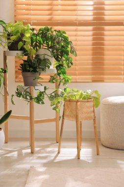 Pencerenin yanında farklı güzellikteki evlerle dolu samimi bir oda.