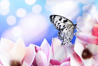 Güzel kelebek ve açık mavi arka planda minik çiçekler, bokeh etkisi. Muhteşem bahar çiçekleri.