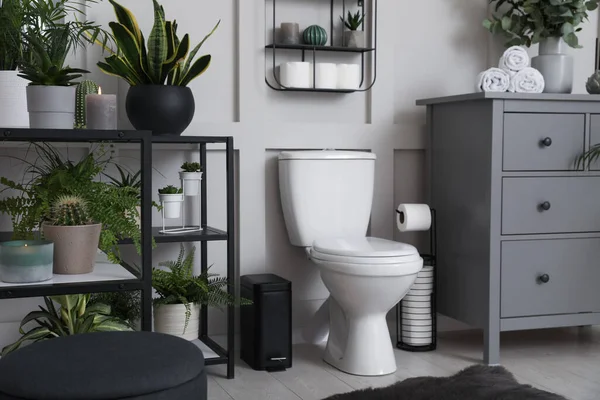 Havalı bir banyo. İçinde klozet ve güzel bitkiler var.