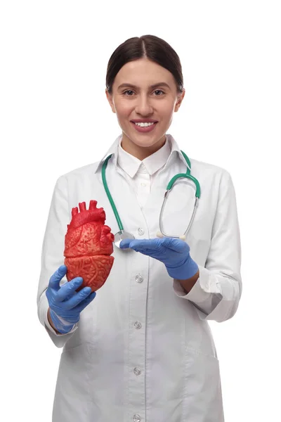 Médico Com Estetoscópio Modelo Coração Sobre Fundo Branco Conceito Cardiologia — Fotografia de Stock