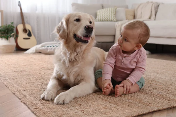 Evinde yerde sevimli bir köpeği olan şirin bir bebek.