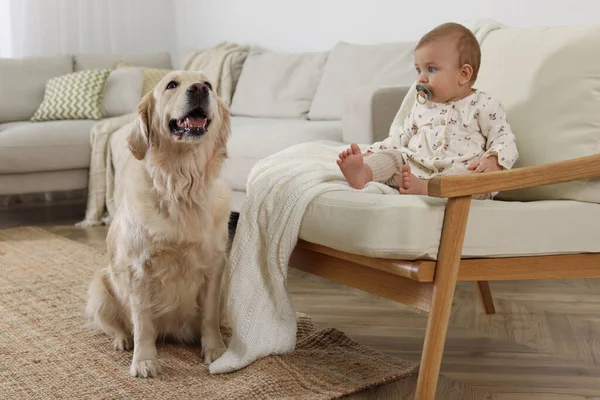 Bebé Bonito Com Cão Adorável Casa — Fotografia de Stock