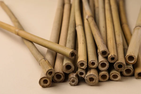 Dry Bamboo Sticks Beige Background Closeup — Photo