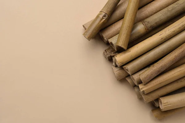 Dry Bamboo Sticks Beige Background Flat Lay Space Text — Photo