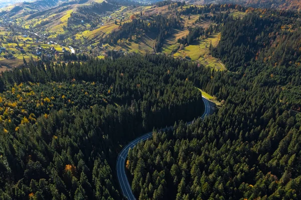 Pemandangan Udara Jalan Aspal Dikelilingi Oleh Hutan Konifer Pada Hari — Stok Foto