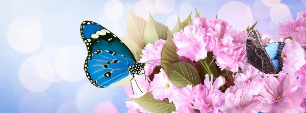 Beaux Papillons Minuscules Fleurs Sur Fond Bleu Clair Effet Bokeh — Photo