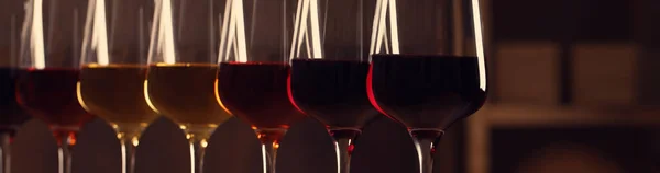 Bicchieri Con Diversi Vini Gustosi Vista Vicino Design Banner — Foto Stock