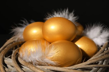 Siyah arka planda tüyleri olan parlak altın yumurtalar, yakın plan