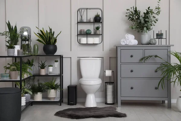 Stílusos Fürdőszoba Belső Vel Sok Gyönyörű Szobanövények — Stock Fotó
