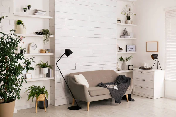 快適なソファ 壁の棚と美しい装飾要素とスタイリッシュなリビングルームのインテリア — ストック写真