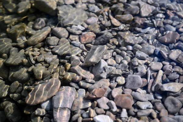 Piedras Guijarros Fondo Del Río —  Fotos de Stock