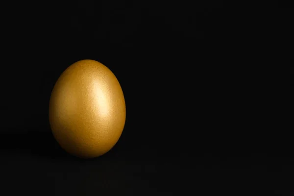 Shiny Golden Egg Black Background Space Text — Zdjęcie stockowe