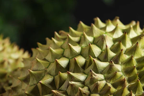 Widok Bliska Dojrzałego Duriana Niewyraźne Tło — Zdjęcie stockowe