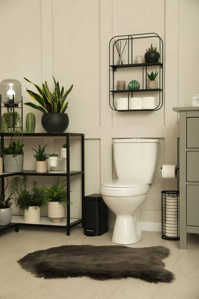 Snygg Badrumsinteriör Med Toalettskål Och Många Vackra Krukväxter — Stockfoto