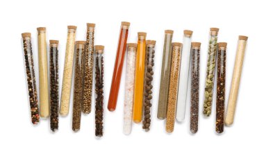 Beyaz arka planda farklı baharatlı cam tüpler, üst görünüm