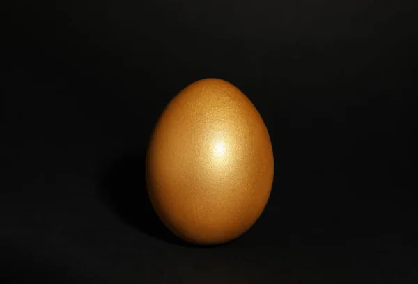 One Shiny Golden Egg Black Background — Fotografia de Stock