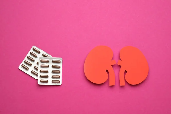 Paper Cutout Kidneys Pills Magenta Background Flat Lay — Stock Photo, Image