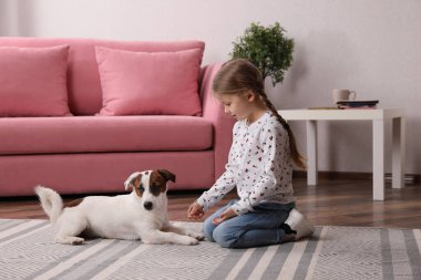 Evde sevimli küçük bir kız köpeğiyle oynuyor. Çocukluk hayvanı.