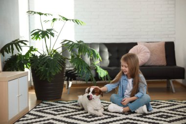 Evde köpeği halıda, mesaj atmak için yeri olan sevimli küçük bir kız. Çocukluk hayvanı.