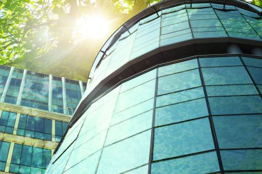 Yeşil konsept. Güneşli bir günde modern bina ve ağacın alçak açılı görüntüsü