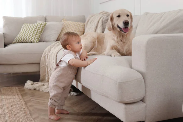 Lindo Bebé Con Adorable Perro Casa — Foto de Stock