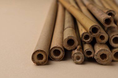 Bej arka planda kuru bambu çubukları, yakın plan. Metin için boşluk