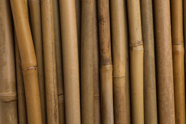 Arka plan olarak, üstten görünüm kuru bambu sopalarla