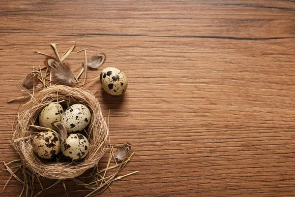 Nest Quail Eggs Feathers Wooden Table Flat Lay Space Text — Foto de Stock
