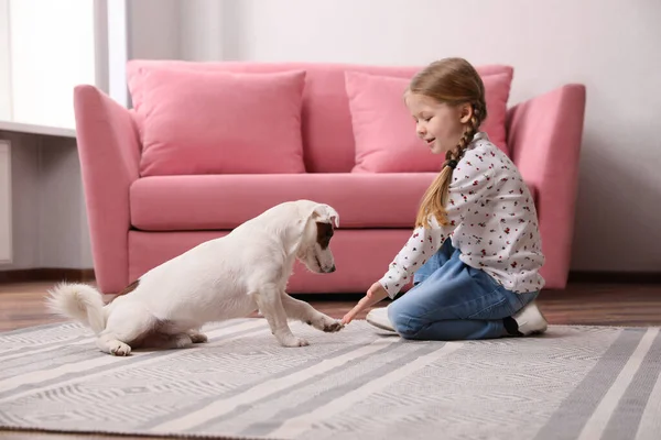 Evde sevimli küçük bir kız köpeğiyle oynuyor. Çocukluk hayvanı.