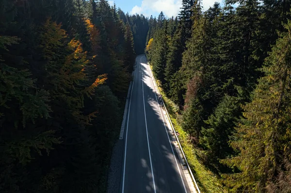 Jalan Asphalt Dikelilingi Oleh Hutan Konifer Pada Hari Yang Cerah — Stok Foto