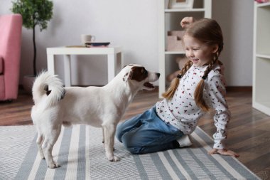 Evde sevimli küçük bir kız köpeğiyle oynuyor. Çocukluk hayvanı.