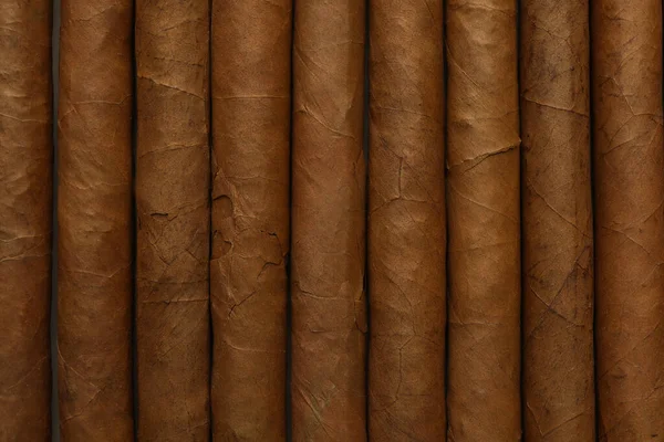 Many Cigars Wrapped Tobacco Leaves Background Top View — Photo
