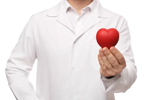 Doctor Holding Red Heart White Background Closeup Cardiology Concept — Foto de Stock