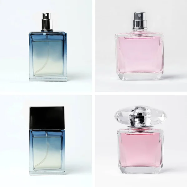 Set Different Bottles Perfume White Background — Stock Photo, Image