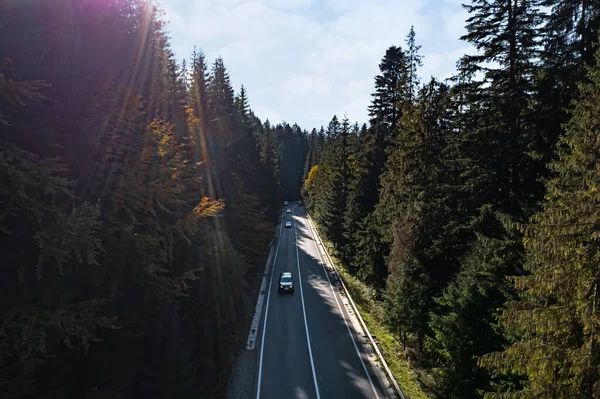 Asphalt Road Surrounded Coniferous Forest Sunny Day Drone Photography — Stock Photo, Image