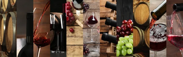 Farklı şarap fotoğraflarıyla güzel bir kolaj. Pankart tasarımı