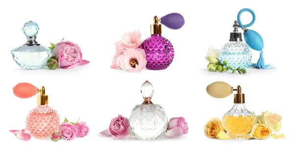 Set Different Bottles Perfume Flowers White Background Banner Design — Zdjęcie stockowe