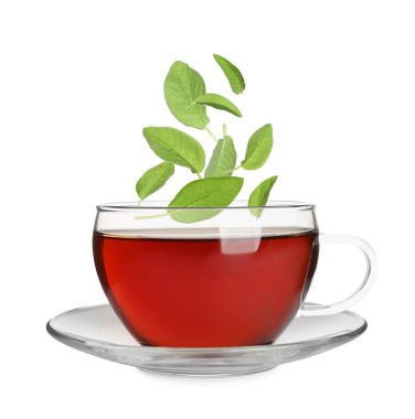 Beyaz arka planda taze demlenmiş çay fincanının içine düşen taze adaçayı.