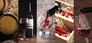 Farklı şarap fotoğraflarıyla güzel bir kolaj. Pankart tasarımı