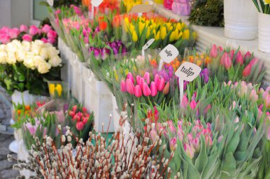 Güneşli bir günde, açık hava dükkanında çeşitli güzel çiçekler.