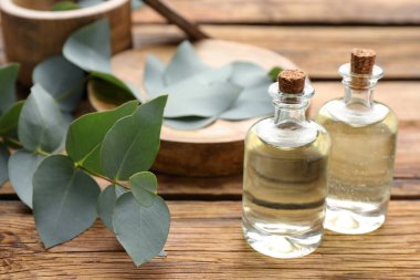 Okaliptüs şişeleri ahşap masa üzerinde gerekli yağ ve bitki dalları