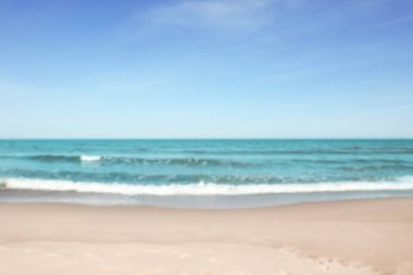 Güneşli bir günde bulanık deniz ve kumlu plaj manzarası